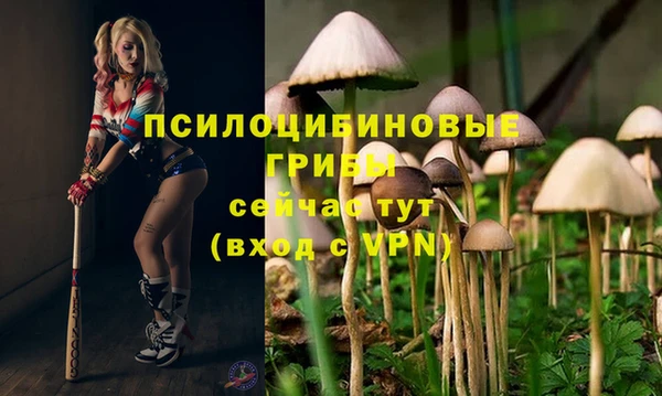 MESCALINE Балахна